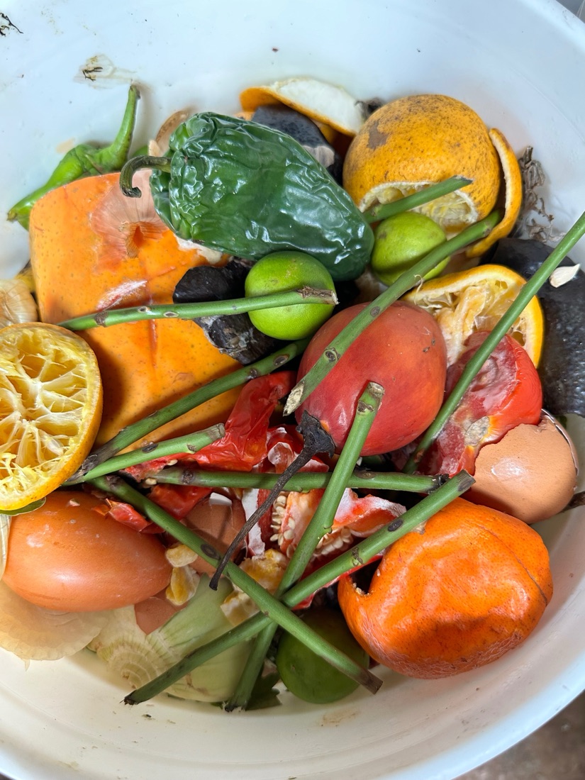 Balde con residuos orgánicos: cáscaras, frutas y vegetales